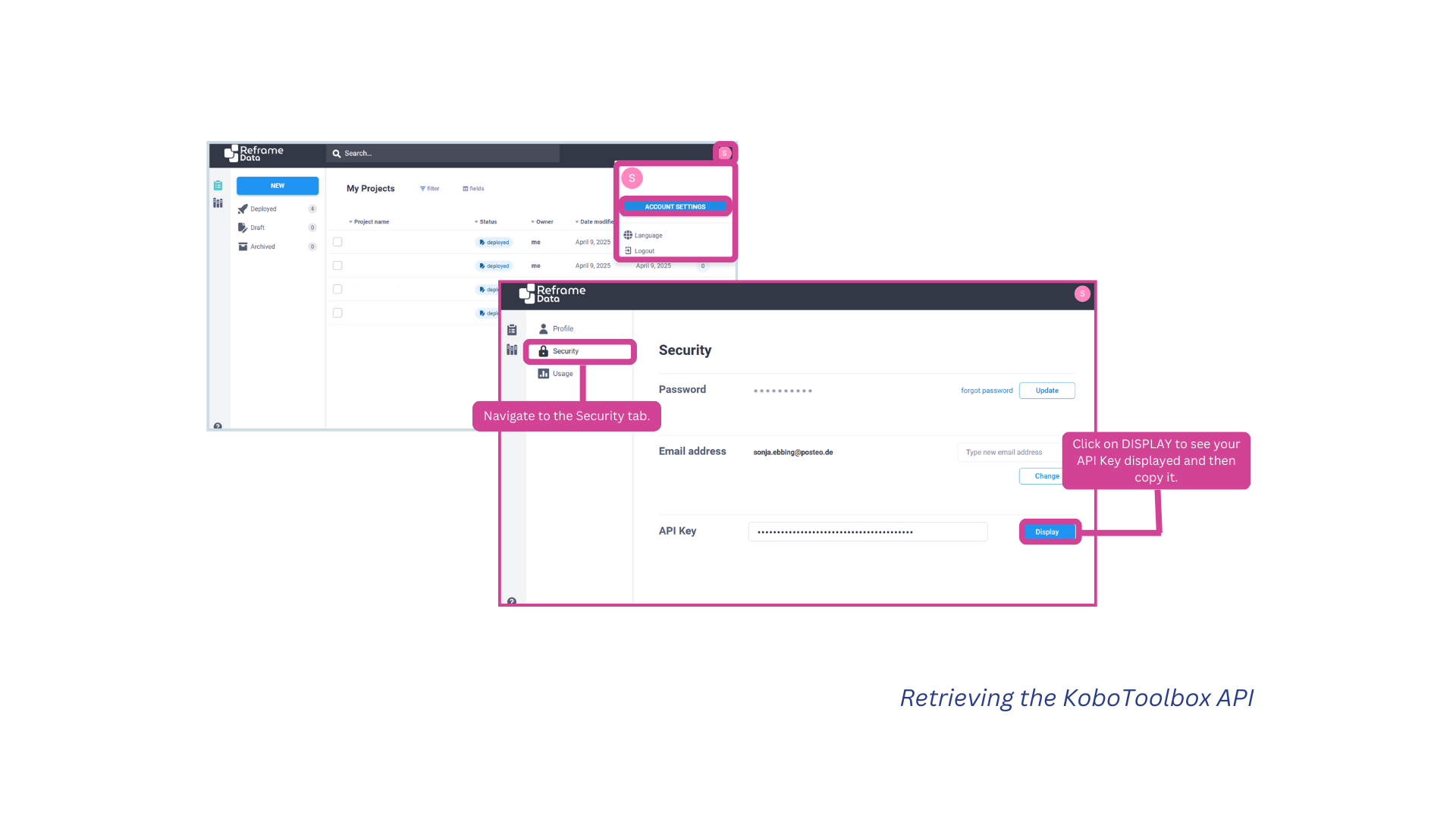 4.3.3 Retrieving Kobo API key.png
